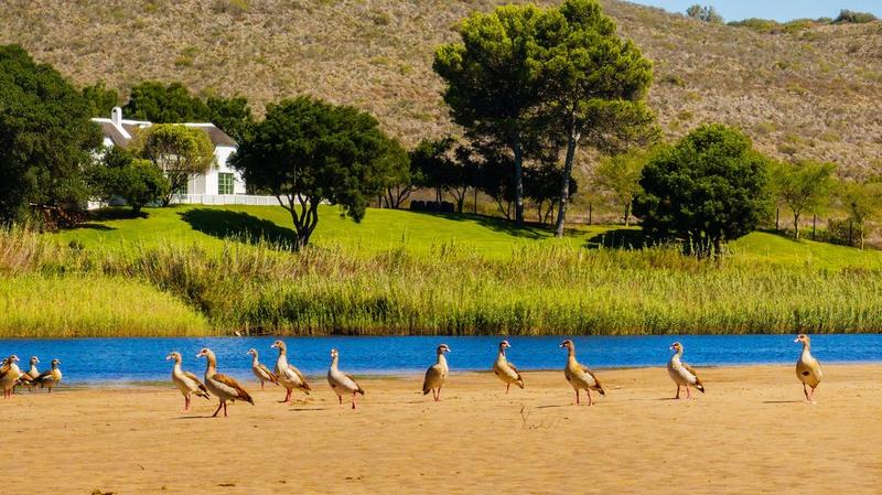 4 Bedroom Property for Sale in Malgas Western Cape